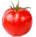 日本野菜ソムリエ協会主催「野菜の勉強会～トマトのお話～」