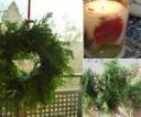 【申込み受付中!!】針葉樹のクリスマスリースとボタニカルキャンドル作り！ワンコインワークショップ