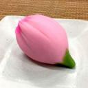 茶道具 青峰堂×玉浦屋 コラボ企画「楽しい！美味しい！和菓子づくりとお抹茶教室」