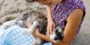 PAWペットアロマセミナー「愛犬と飼い主のためのハッピーシニアライフの実現」