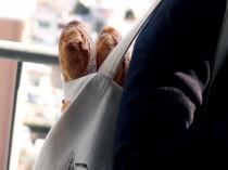 おみやげパン付き！【仙台ふららん】地下鉄乗車一日券を使って魅惑のパン屋めぐり！
