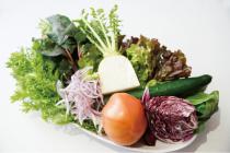 冬野菜の正しい選び方と切り方実習、長持ちする保存方法