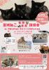 宮城猫 里親募集 譲渡会