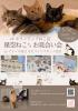 保護猫の譲渡会