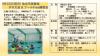 ★プールでカヌー ポロ大会 のちFree練習会 (申込期限9/11)