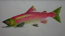色彩美術魚拓展（カラー魚拓）