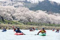 カヌー_白石川お花見ツーリングは4月14日(日)に延期開催